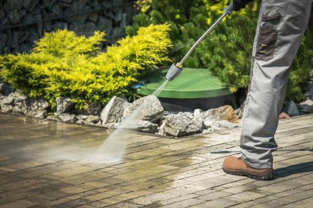 Best Pre-Holiday Cleaning  in Malvern, AR